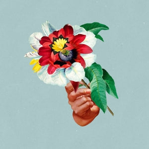 Maribou State – Kingdoms In Colour (LP)