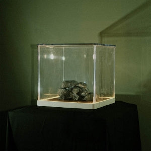 Tra Phaidin – Cloch's Clai (LP)