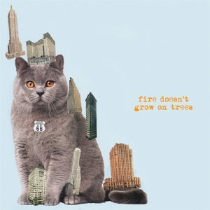 Brian Jonestown Massacre – Fire Doesn't Grow On Trees (LP)