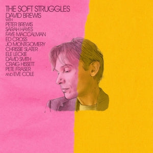 David Brewis – Soft Struggles (LP)