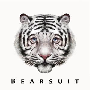 Bearsuit – Phantom Forest (LP)
