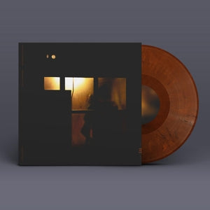 Sachal Vasandani – Midnight Shelter (LP)