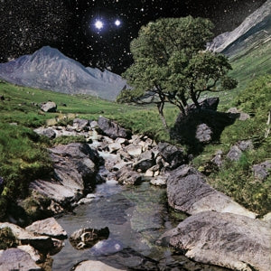 Beta Band – Beta Band (LP)