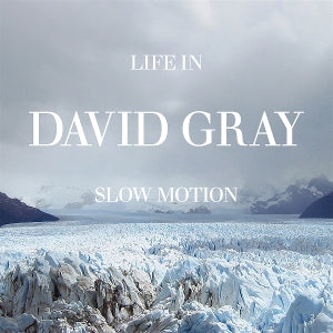 David Gray – Life In Slow Motion (LP)