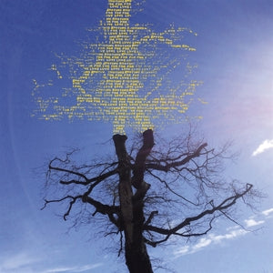 Laetitia Sadier – Rooting For Love (LP)
