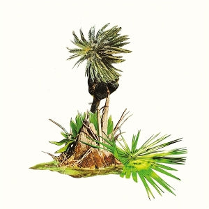 Lagoss – Musica Para Platanos (LP)