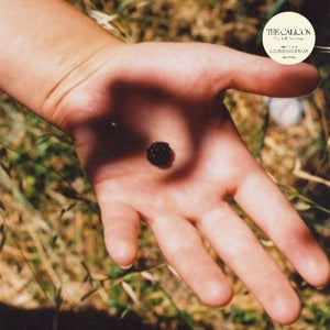 Calicos – The Soft Landing (LP)