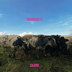 Calicos – Sugarcoat It (LP)