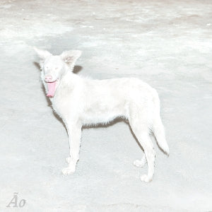Ao – Malandra (LP)