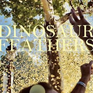 Dinosaur Feathers – Whistle Tips (LP)