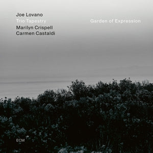 Joe Lovano -Trio Tapestry- – Garden of Expression (LP)