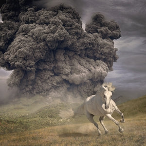 White Buffalo – Year of the Dark Horse (LP)