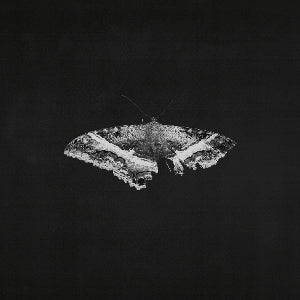 Kendrick Lamar – To Pimp a Butterfly (LP)