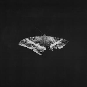 Kendrick Lamar – To Pimp a Butterfly (LP)