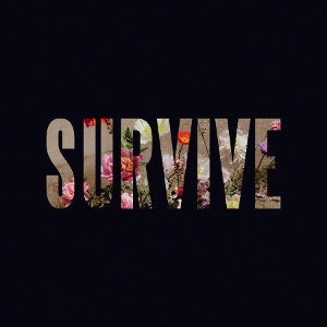 Lewis Capaldi – Survive Ep (12in)