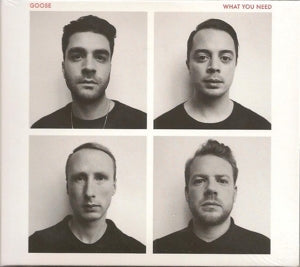 Goose – What You Need (LP)
