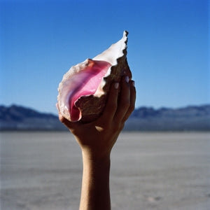The Killers – Wonderful Wonderful (LP)
