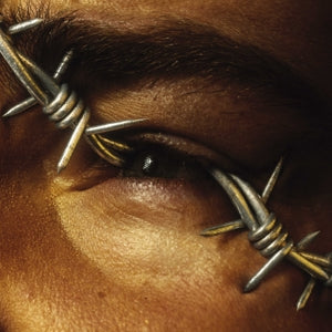 Post Malone – Beerbongs & Bentleys (LP)