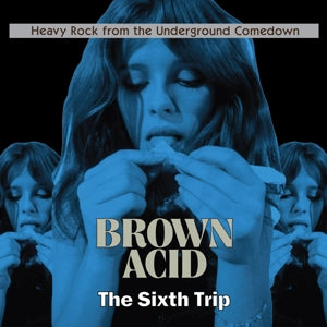 Various – Brown Acid: Sixth Trip (LP)