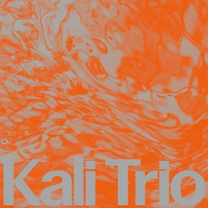 Kali Trio – The Playful Abstract (LP)