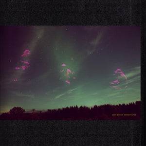 Daniel Norgren – Skogens Frukter (LP)