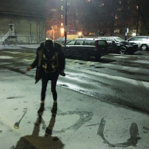 Hayden – The Recent Past (LP)