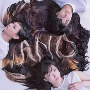 Tricot – A N D (LP)