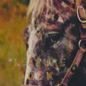 Spirit of the Beehive – Pleasure Suck (LP)