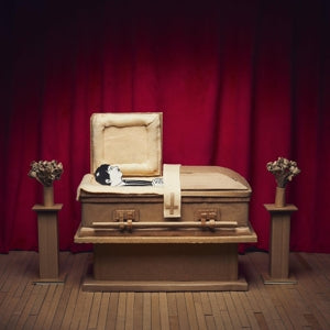 Gregory Pepper & His Problems – No Thanks (LP)