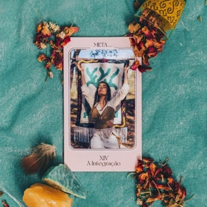 Meta – Xiv- a Integracao (LP)