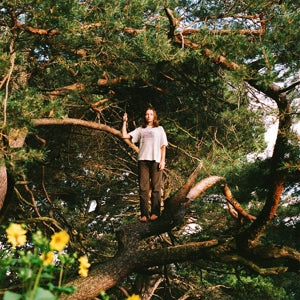 Packs – Melt the Honey (LP)
