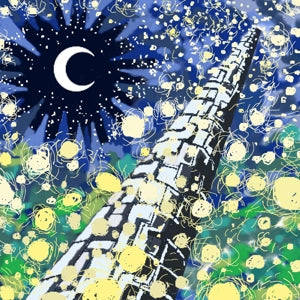 Fax Gang & Parannoul – Scattersun (LP)