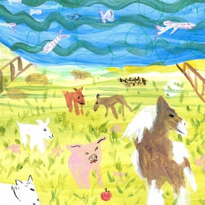 Lots of Hands – Into a Pretty Room (LP)