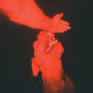 Eli Winter – A Trick of the Light (LP)