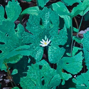 Early Fern – Wetland Interiors (LP)
