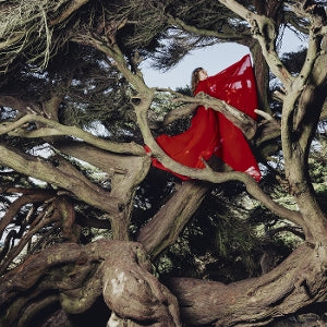Hannah Frances – Nested In Tangles (LP)