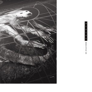 Pixies – Doolittle 25 (LP)