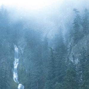 Wolves In the Throne Room – Diadem of 12 Stars (LP)