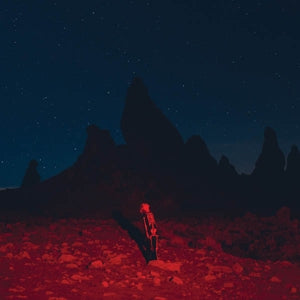 Phoebe Bridgers – Punisher (LP)