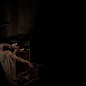 Have a Nice Life – Voids (LP)