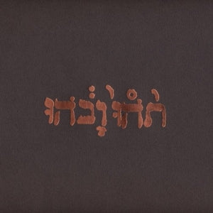 Godspeed You! Black Emperor – Slow Riot For New Zero Kanada (LP)