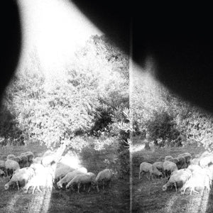 Godspeed You! Black Emperor – Asunder