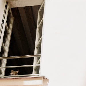 M(H)Aol – Something Soft (LP)
