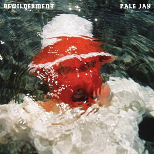 Pale Jay – Bewilderment (LP)