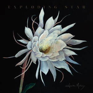 Heather Maloney – Exploding Star (LP)