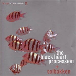 Black Heart Procession & Solbakken – In the Fishtank (Silver) (LP)