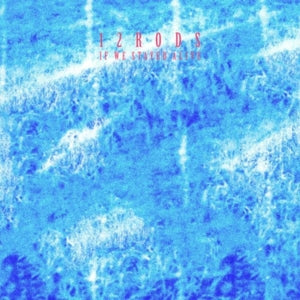 12 Rods – If We Stayed Alive (LP)