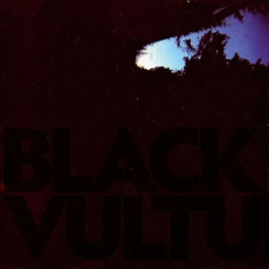 Daniel Norgren – Black Vultures (LP)