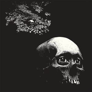 Osees – A Foul Form (LP)