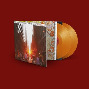 Fucked Up – Chemistry of Common Life (LP)